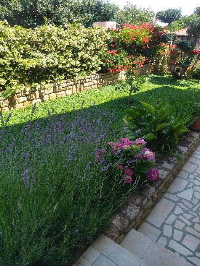 Zelena Oaza Apartment Novigrad Istria 외부 사진