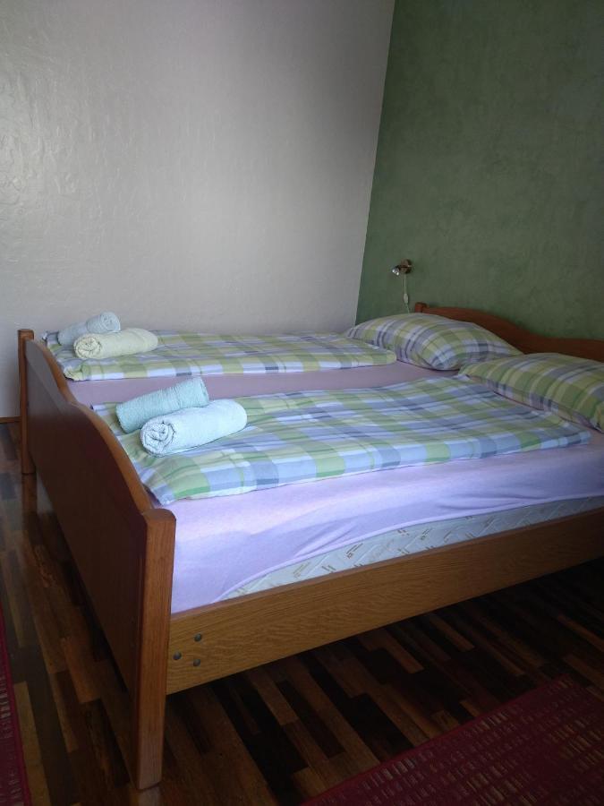 Zelena Oaza Apartment Novigrad Istria 외부 사진