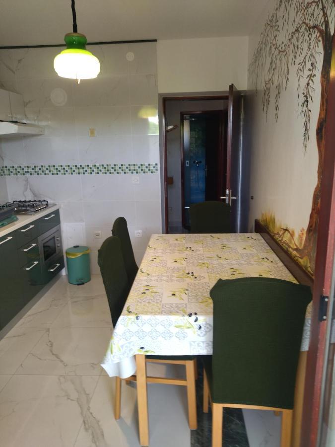 Zelena Oaza Apartment Novigrad Istria 외부 사진