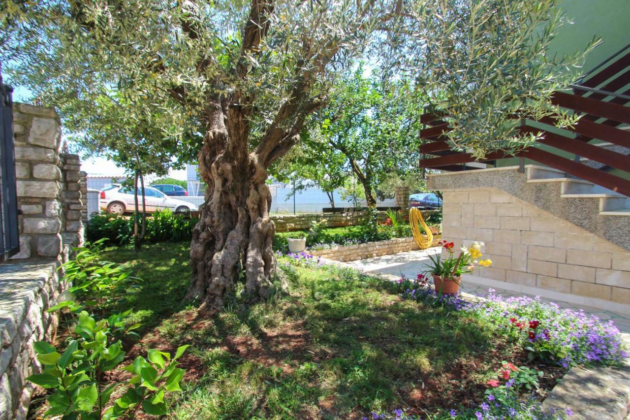 Zelena Oaza Apartment Novigrad Istria 외부 사진