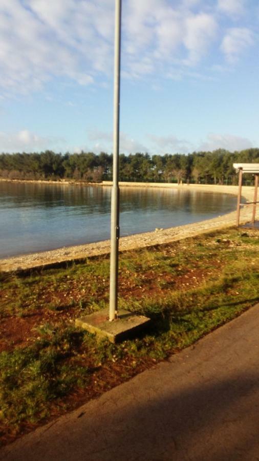 Zelena Oaza Apartment Novigrad Istria 외부 사진